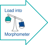 Load into Morphometer